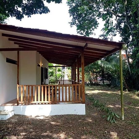 Villa Green Papaya Puerto Viejo de Talamanca Exterior foto