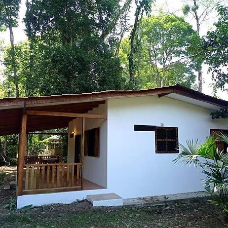 Villa Green Papaya Puerto Viejo de Talamanca Exterior foto