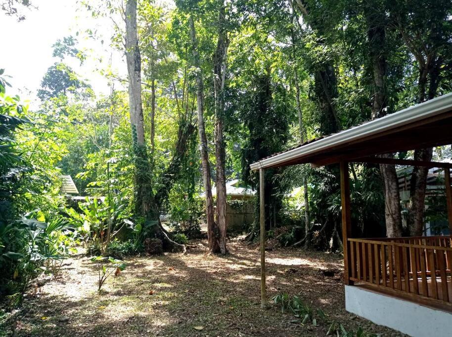 Villa Green Papaya Puerto Viejo de Talamanca Exterior foto
