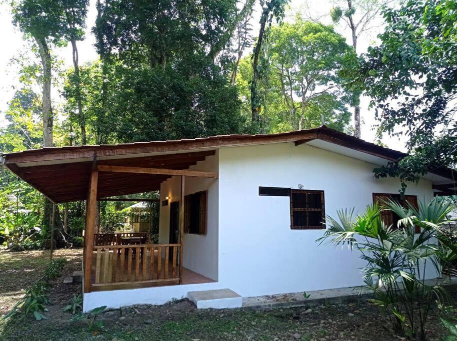 Villa Green Papaya Puerto Viejo de Talamanca Exterior foto